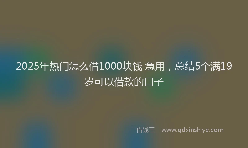 2025年热门怎么借1000块钱 急用，总结5个满19岁可以借款的口子