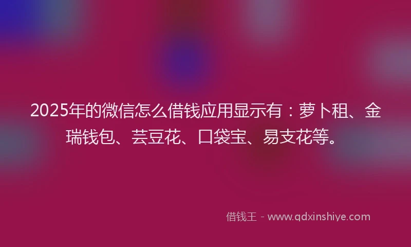 2025年的微信怎么借钱应用显示有：萝卜租、金瑞钱包、芸豆花、口袋宝、易支花等。