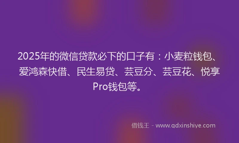 2025年的微信贷款必下的口子有：小麦粒钱包、爱鸿森快借、民生易贷、芸豆分、芸豆花、悦享Pro钱包等。
