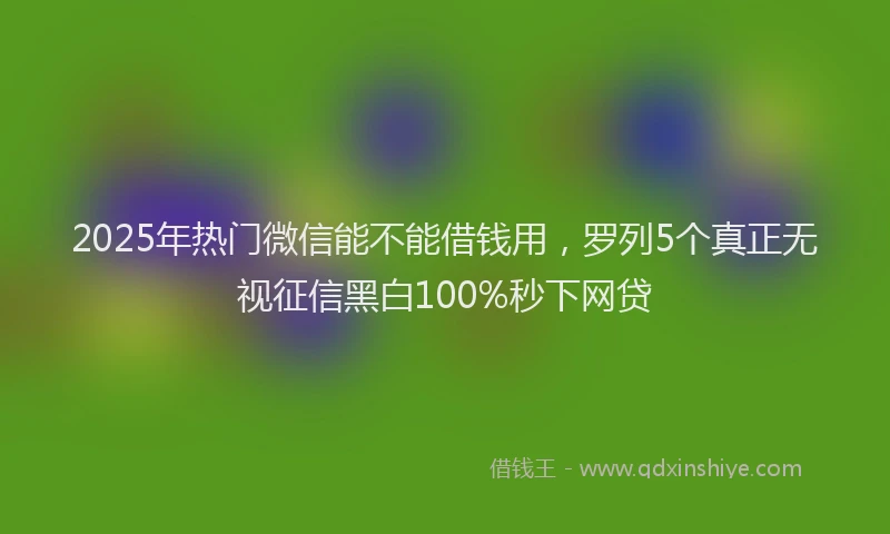 2025年热门微信能不能借钱用，罗列5个真正无视征信黑白100%秒下网贷