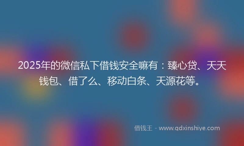 2025年的微信私下借钱安全嘛有：臻心贷、天天钱包、借了么、移动白条、天源花等。