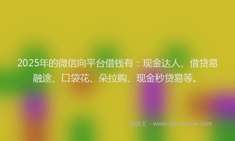 2025年的微信向平台借钱有：现金达人、借贷易融途、口袋花、朵拉购、现金秒贷易等。