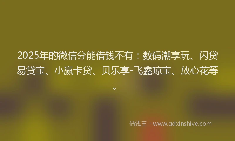 2025年的微信分能借钱不有：数码潮享玩、闪贷易贷宝、小赢卡贷、贝乐享-飞鑫琼宝、放心花等。