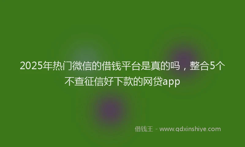 2025年热门微信的借钱平台是真的吗，整合5个不查征信好下款的网贷app