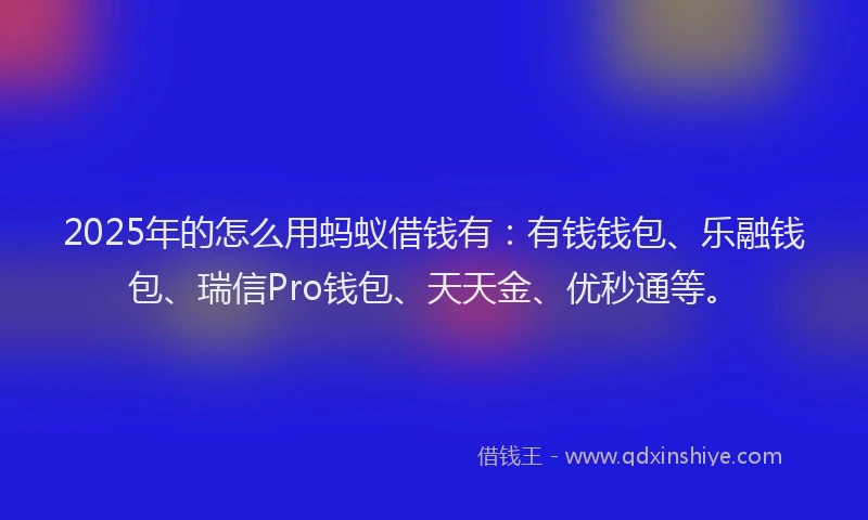 2025年的怎么用蚂蚁借钱有：有钱钱包、乐融钱包、瑞信Pro钱包、天天金、优秒通等。