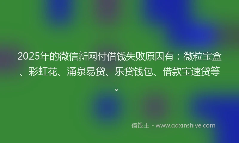 2025年的微信新网付借钱失败原因有：微粒宝盒、彩虹花、涌泉易贷、乐贷钱包、借款宝速贷等。