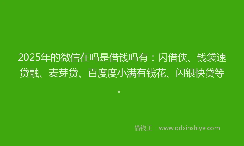 2025年的微信在吗是借钱吗有：闪借侠、钱袋速贷融、麦芽贷、百度度小满有钱花、闪银快贷等。