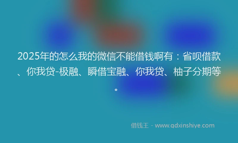 2025年的怎么我的微信不能借钱啊有：省呗借款、你我贷-极融、瞬借宝融、你我贷、柚子分期等。