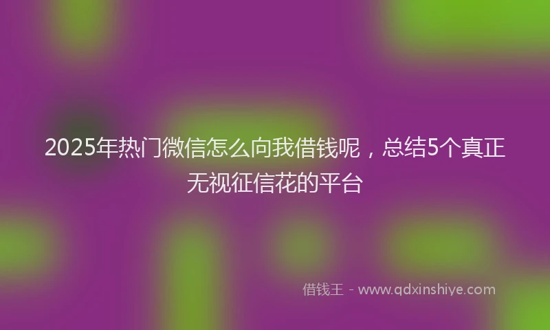 2025年热门微信怎么向我借钱呢，总结5个真正无视征信花的平台