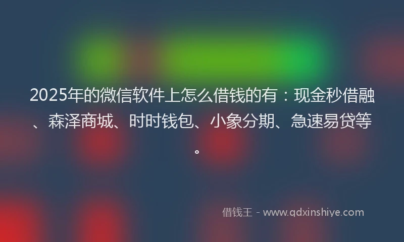 2025年的微信软件上怎么借钱的有：现金秒借融、森泽商城、时时钱包、小象分期、急速易贷等。