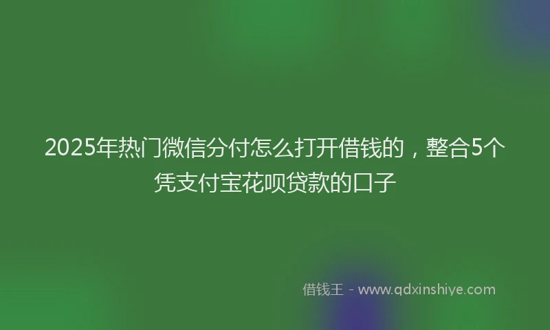 2025年热门微信分付怎么打开借钱的，整合5个凭支付宝花呗贷款的口子