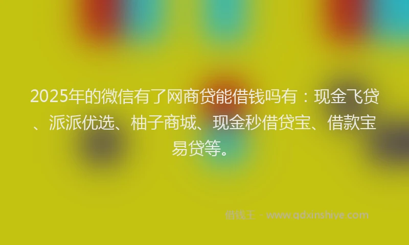 2025年的微信有了网商贷能借钱吗有：现金飞贷、派派优选、柚子商城、现金秒借贷宝、借款宝易贷等。
