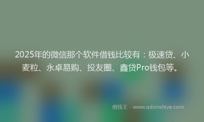 2025年的微信那个软件借钱比较有：极速贷、小麦粒、永卓易购、投友圈、鑫贷Pro钱包等。