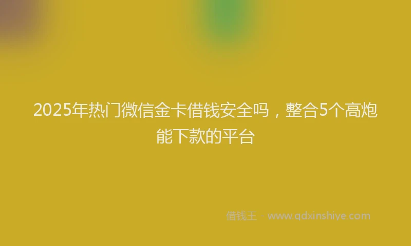 2025年热门微信金卡借钱安全吗，整合5个高炮能下款的平台
