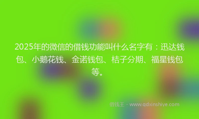 2025年的微信的借钱功能叫什么名字有：迅达钱包、小鹅花钱、金诺钱包、桔子分期、福星钱包等。