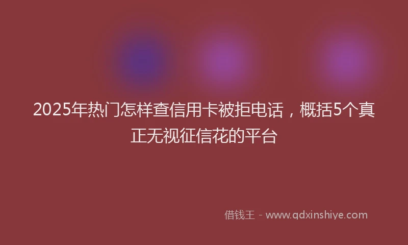 2025年热门怎样查信用卡被拒电话，概括5个真正无视征信花的平台