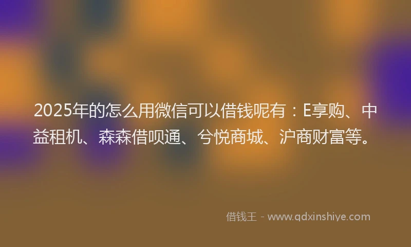 2025年的怎么用微信可以借钱呢有：E享购、中益租机、森森借呗通、兮悦商城、沪商财富等。