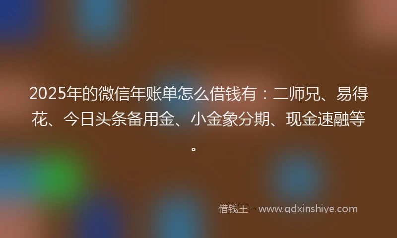 2025年的微信年账单怎么借钱有：二师兄、易得花、今日头条备用金、小金象分期、现金速融等。