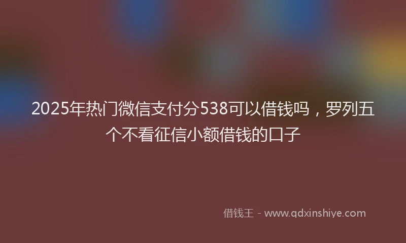 2025年热门微信支付分538可以借钱吗，罗列五个不看征信小额借钱的口子