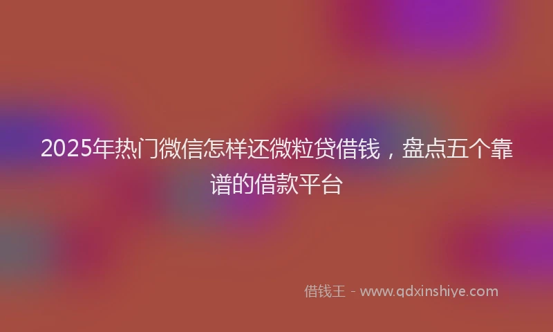 2025年热门微信怎样还微粒贷借钱，盘点五个靠谱的借款平台
