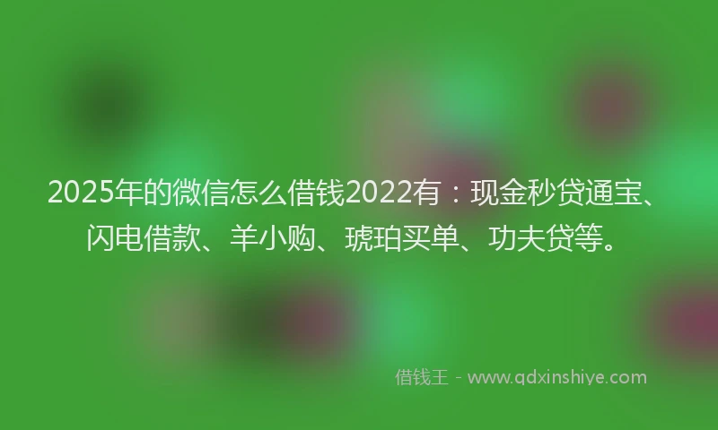2025年的微信怎么借钱2022有：现金秒贷通宝、闪电借款、羊小购、琥珀买单、功夫贷等。