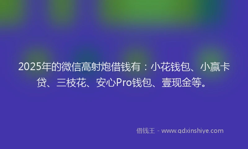2025年的微信高射炮借钱有：小花钱包、小赢卡贷、三枝花、安心Pro钱包、壹现金等。
