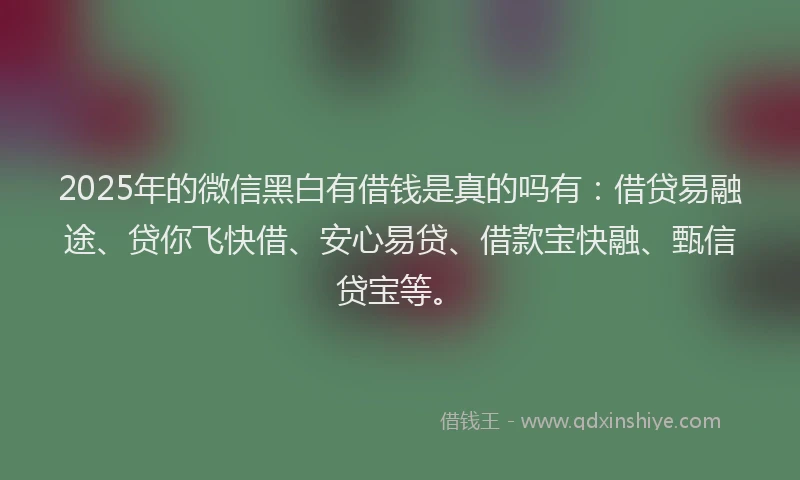 2025年的微信黑白有借钱是真的吗有：借贷易融途、贷你飞快借、安心易贷、借款宝快融、甄信贷宝等。
