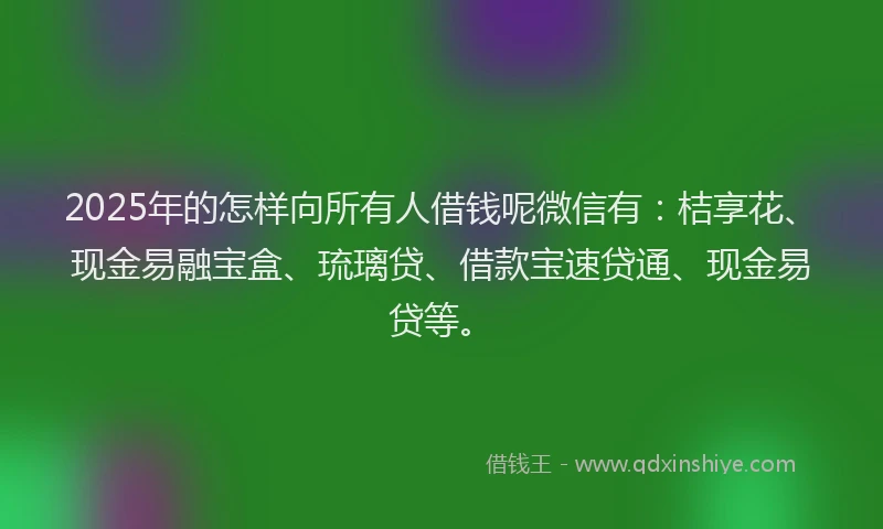 2025年的怎样向所有人借钱呢微信有：桔享花、现金易融宝盒、琉璃贷、借款宝速贷通、现金易贷等。