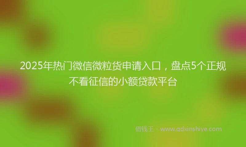 2025年热门微信微粒货申请入口，盘点5个正规不看征信的小额贷款平台