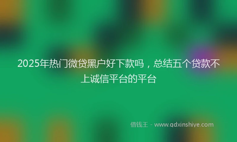 2025年热门微贷黑户好下款吗，总结五个贷款不上诚信平台的平台