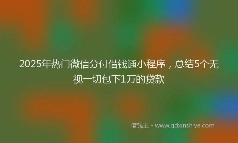 2025年热门微信分付借钱通小程序，总结5个无视一切包下1万的贷款