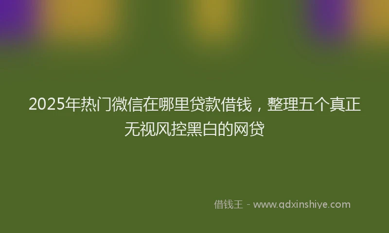 2025年热门微信在哪里贷款借钱，整理五个真正无视风控黑白的网贷