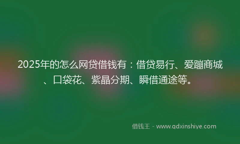 2025年的怎么网贷借钱有：借贷易行、爱蹦商城、口袋花、紫晶分期、瞬借通途等。