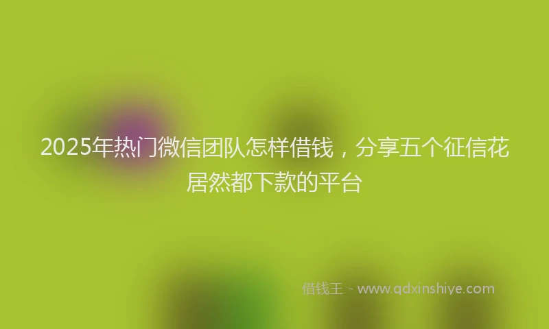 2025年热门微信团队怎样借钱，分享五个征信花居然都下款的平台
