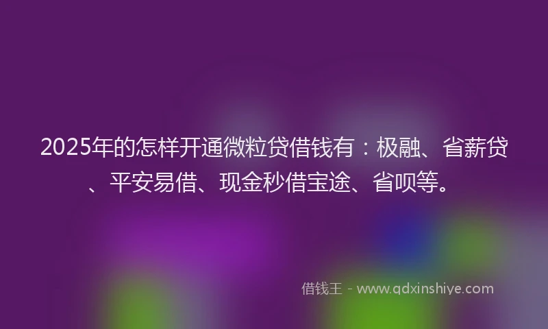 2025年的怎样开通微粒贷借钱有：极融、省薪贷、平安易借、现金秒借宝途、省呗等。