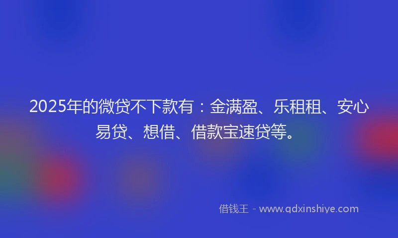2025年的微贷不下款有：金满盈、乐租租、安心易贷、想借、借款宝速贷等。