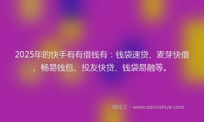 2025年的快手有有借钱有：钱袋速贷、麦芽快借、畅易钱包、投友快贷、钱袋易融等。