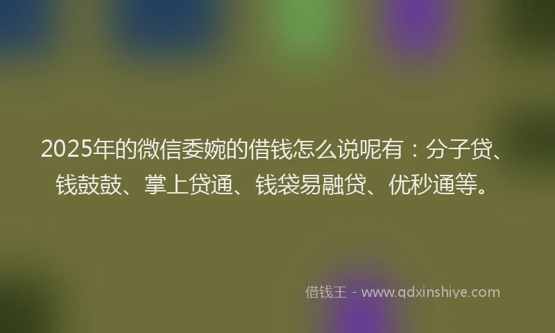 2025年的微信委婉的借钱怎么说呢有：分子贷、钱鼓鼓、掌上贷通、钱袋易融贷、优秒通等。