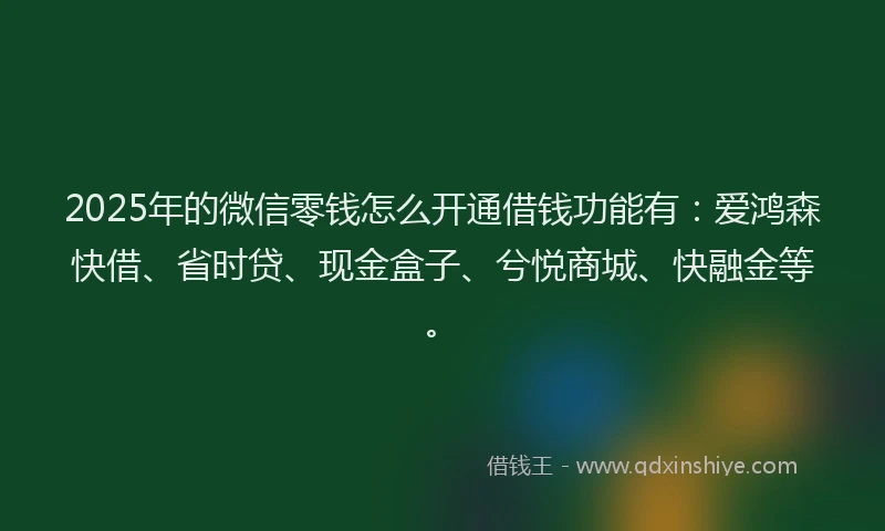 2025年的微信零钱怎么开通借钱功能有：爱鸿森快借、省时贷、现金盒子、兮悦商城、快融金等。