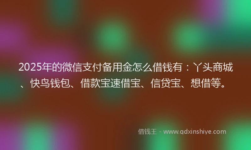 2025年的微信支付备用金怎么借钱有：丫头商城、快鸟钱包、借款宝速借宝、信贷宝、想借等。