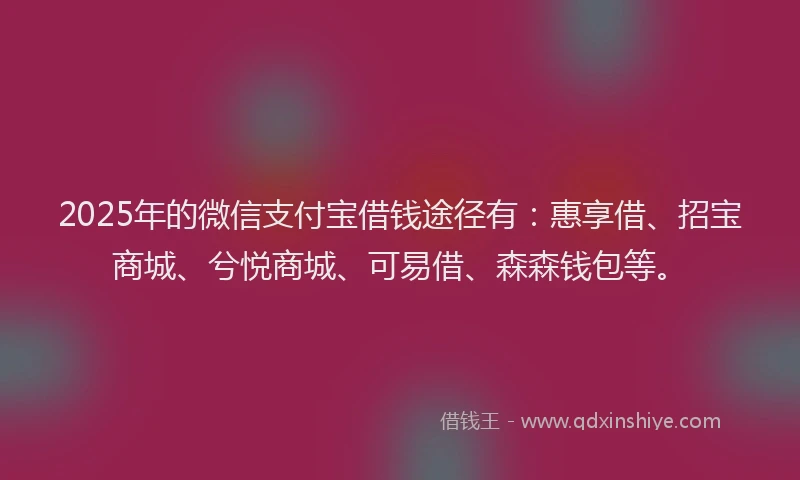 2025年的微信支付宝借钱途径有：惠享借、招宝商城、兮悦商城、可易借、森森钱包等。