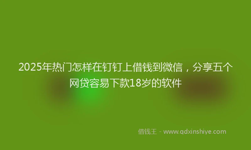2025年热门怎样在钉钉上借钱到微信，分享五个网贷容易下款18岁的软件