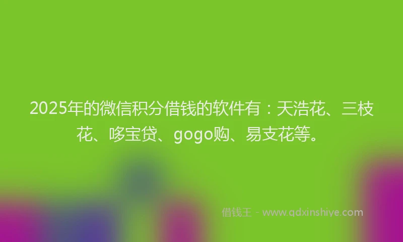 2025年的微信积分借钱的软件有：天浩花、三枝花、哆宝贷、gogo购、易支花等。