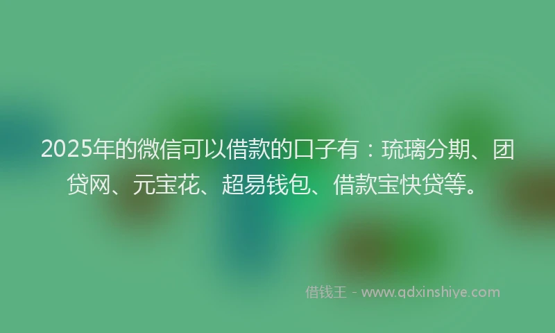 2025年的微信可以借款的口子有：琉璃分期、团贷网、元宝花、超易钱包、借款宝快贷等。