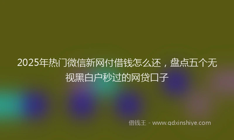 2025年热门微信新网付借钱怎么还，盘点五个无视黑白户秒过的网贷口子