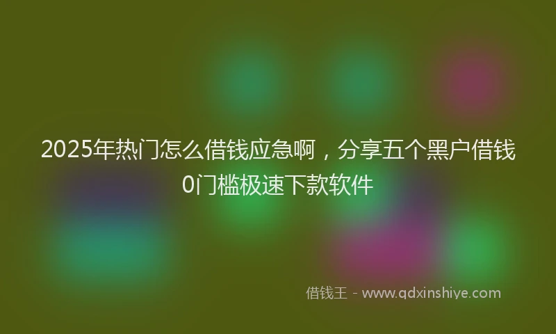 2025年热门怎么借钱应急啊,分享五个黑户借钱0门槛极速下款软件