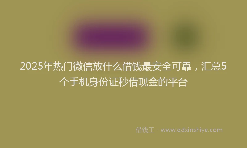 2025年热门微信放什么借钱最安全可靠，汇总5个手机身份证秒借现金的平台