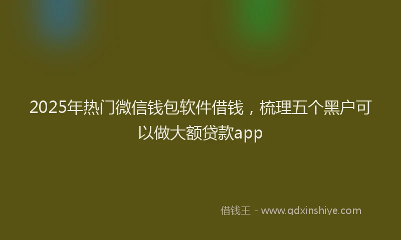2025年热门微信钱包软件借钱，梳理五个黑户可以做大额贷款app