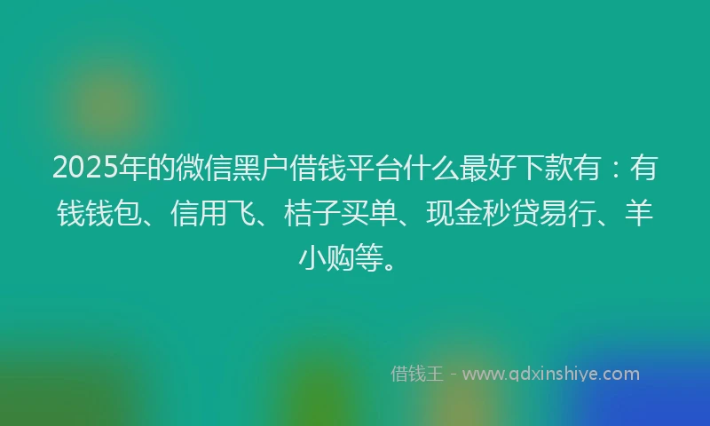 2025年的微信黑户借钱平台什么最好下款有:有钱钱包、信用飞、桔子买单、现金秒贷易行、羊小购等。