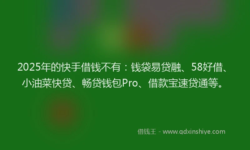 2025年的快手借钱不有：钱袋易贷融、58好借、小油菜快贷、畅贷钱包Pro、借款宝速贷通等。